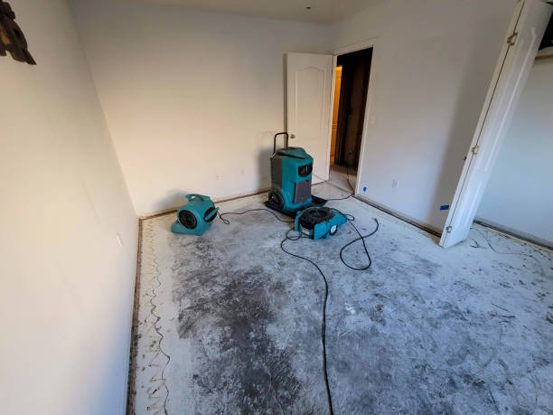 Professional Water damage restoration in Bloomingdale, IL