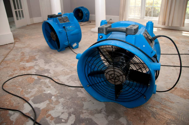 Best Fire Damage Restoration  in Bloomingdale, IL