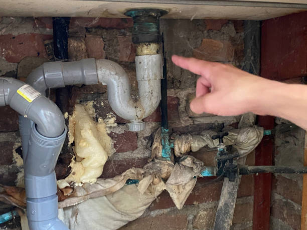 Best Water damage cleanup near me  in Bloomingdale, IL